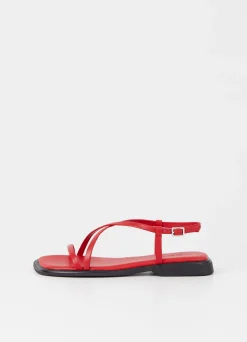 IZZY SANDALER