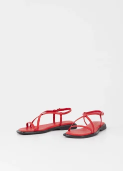IZZY SANDALER