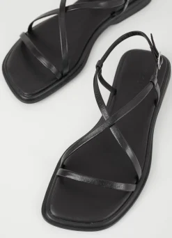 IZZY SANDALER