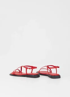 IZZY SANDALER